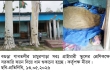 গাবতলীতে সরকারি স্কুলে সরকারি ফ্যান দিয়ে ধান শুকানোর অভিযোগ